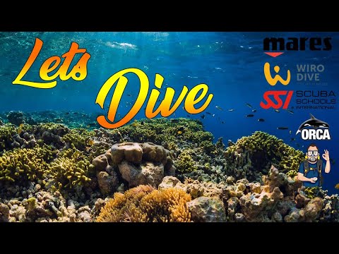 Lets Dive -