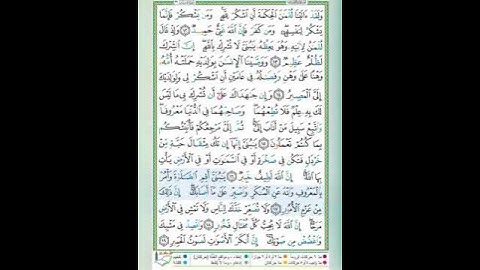 سورة لقمان الآية 17 تلاوة الشيخ أيمن سويد #قليل_دائم_خير