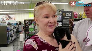 Ebony was adopted at a Petco store