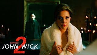 Famous 'John Infiltrates Gianna D'Antonio's Party' Scene | John Wick: Chapter 2 Net Worth