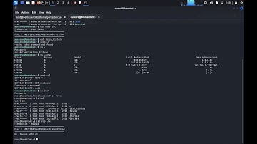 Redis Server Penetration Testing: Vulnerability Unveiling and Security Reinforcement