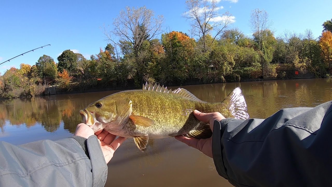 Favorite GoPro Hero 7