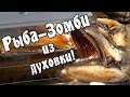 Мёртвая рыба ожила в духовке. Рыба Зомби