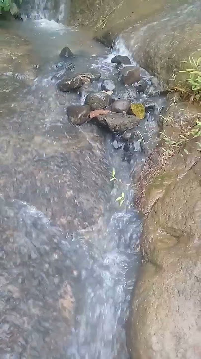 FB VID 4815820338145539116