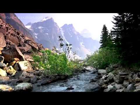 اغنية العيد لهذا العام لا نجيكم لا تجونا والسبب فيروس كورونا زامل يمني