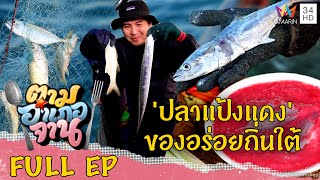 'ปลาแป้งแดง' ของอร่อยแดนใต้ จ.สงขลา | ตามอำเภอจาน | 27 พ.ค.66 Full EP