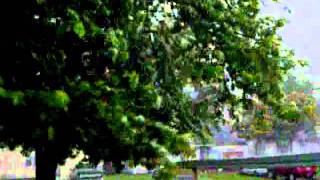Oklahoma Tornado wind May 24 2011, Much damage