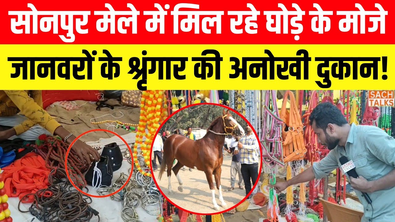 Sonpur के मेले में मिल रहे घोड़े के मोजे, देखिए जानवरों के श्रृंगार की अनोखी दुकान! Sonpur Mela 2024