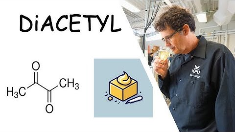 🧈 Understanding Diacetyl in Beer: Causes, Control, Thresholds, and Beer Sensory Evaluation