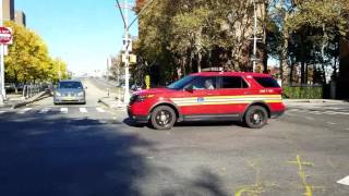 FDNY EMS Division 1 Deputy Chief Passing BY In West Harlem, New York