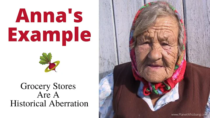 Anna's Example