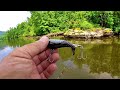 TOPWATER BLOWUPS! How To Fish The Whopper Plopper