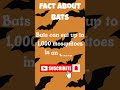 FactaboutBatsTheyEat1000MosquitoesPerHour#shortsfeed #facts #shorts