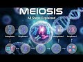 Meiosis Explained Simply (PART 1)|Stages,Crossing Over & Genetic Diversity |NEET Biology Simplified