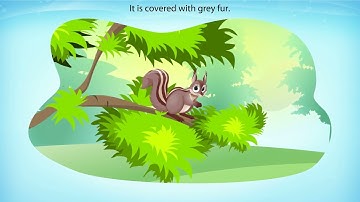NCERT Class 7 English Honeycomb | Chapter 1: The Squirrel