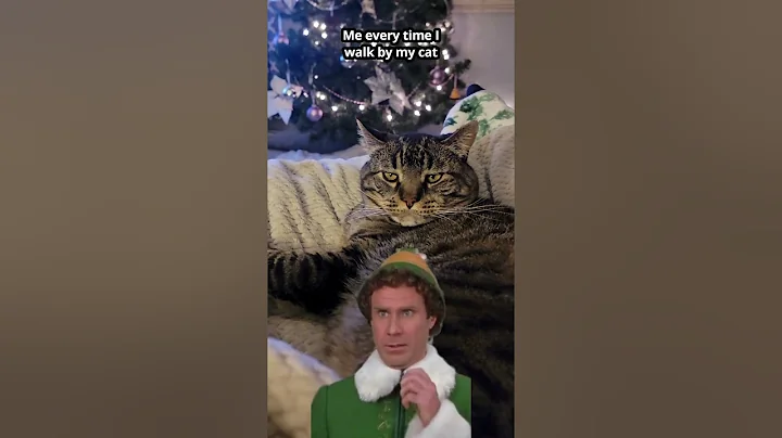 I'm gonna pretend the feeling is mutual 😌 #catmom #catshorts #catvideos #catchristmas #elf