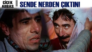 Çiçek Abbas Şakir, Abbasın Kabusu Oluyor