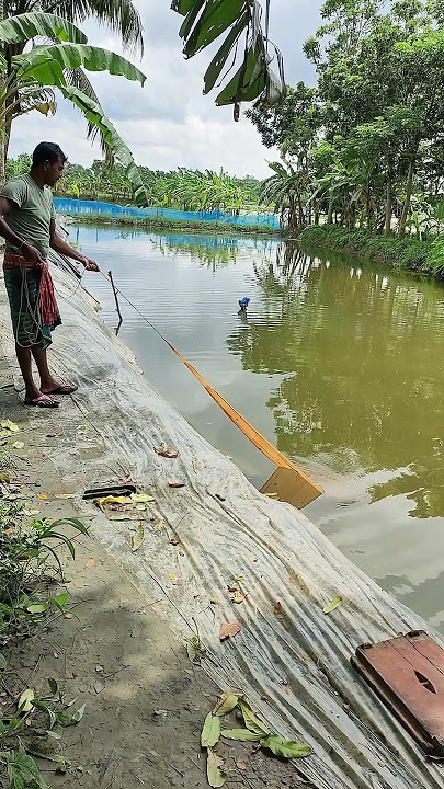 village net fishing #shorts #reels #viralvideo #ytshorts #video #fishing #wbuniquefishing..