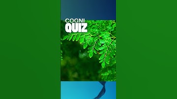 The Moon’s Quiet Descent #testyourknowledge #science #astrophysics  #test #quiz  #generalknowledge