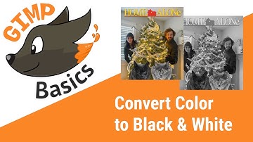 Turn color image into black and white
