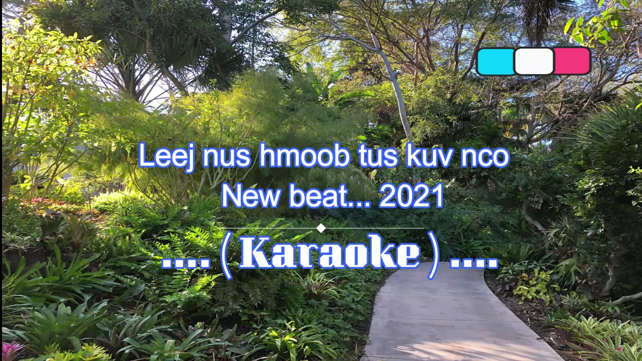 Leej nus hmoob tus kuv nco ( Karaoke ) New beat...2021