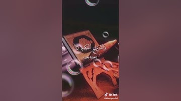 ياسين والقرآن الحكيم أنك لمن المرسلين الآية دي جميلةجدا وتريح الأعصاب