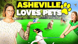 Discover Pet-Friendly Asheville | Parks, Vets, and More!