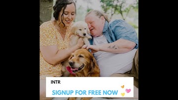 Looking for a dog sitter?