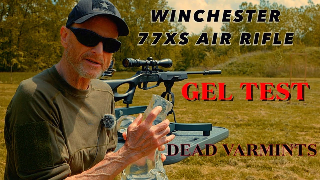 Winchester Gel Test Proves Lethal Against Varmints