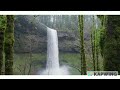 Meditating Dolby sound by Freud || relax your stress in just 2 minutes||