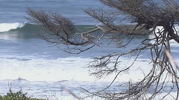 Series of earthquakes strike off Oregon coast Saturday