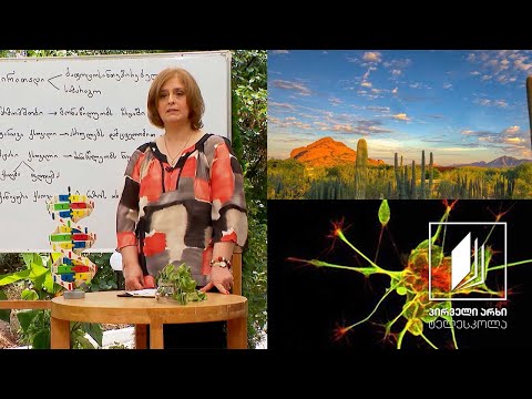 ბიოლოგია, VIII კლასი - მცენარეული და ცხოველური ქსოვილები; აგებულება და ფუნქციები #ტელესკოლა