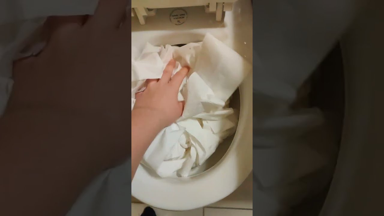 American Standard champion 4 vs an entire roll of tp YouTube