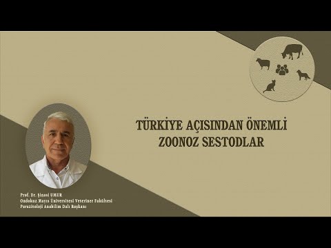 Türkiye İçin Önemli Zoonoz Sestodlar