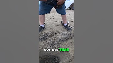 🔍 Mind-Blown: Hidden Secrets in Everyday Objects Revealed! 🤯