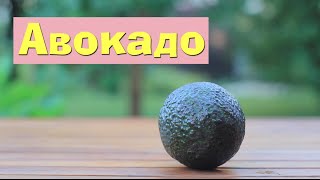 Как почистить авокадо