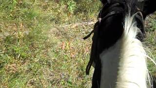 trail riding at parade ranch