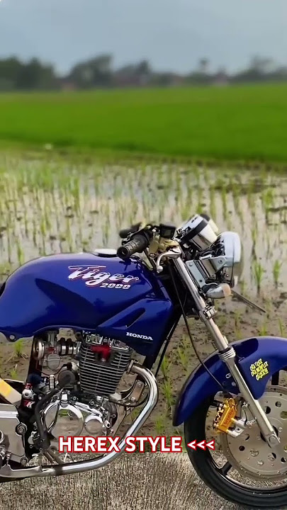 PESONA TIGER 2000 HEREX DANA PELAJAR TERBARU FYP VIRAL 2024 #cbhits #inspirasi #cbmania#herex