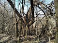 Первый выезд на природу в 2021 году.