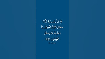 سورة التوبة | ٥١ | فارس عباد