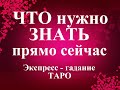 ЧТО НУЖНО ЗНАТЬ ПРЯМО СЕЙЧАС!  Экспресс-гадание Таро Татьяна Шаманова