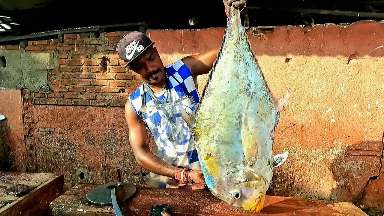 GAINT DIAMOND TREVALLY FISH CUTTING FISH CUTTING EXPERT YouTube gaint-diamond-trevally-fish-cutting-fish-cutting-expert-youtube