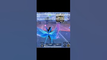 Butterfly 🦋 4.2 update pubg