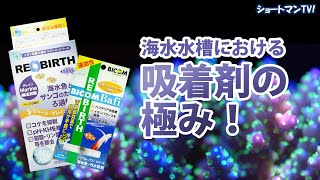 海水水槽における吸着剤の極み！ショートマンTV！