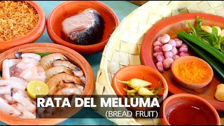 RATA DEL MALLUMA(BREAD FRUIT)