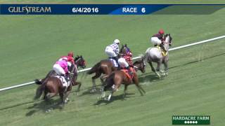 Gulfstream Park Replay Show | June 4, 2016