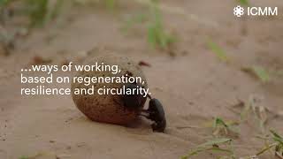Nature positive is not just a goal