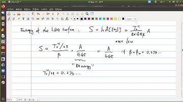 Introduction to Loop Quantum Gravity (圈量子引力) 51: Black hole entropy 2
