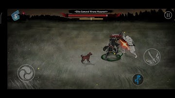 Double counter flash