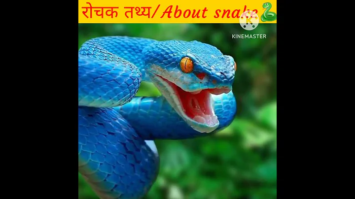 top three amazing fact about snake🐍🤔🤔😱😱#shorts 🇮🇳🇮🇳🇮🇳🇮🇳🇮🇳🇮🇳